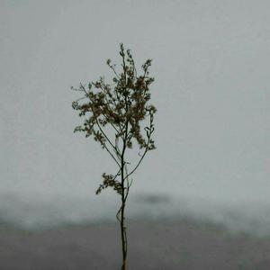 肥老熟妇伦子伦456图片
