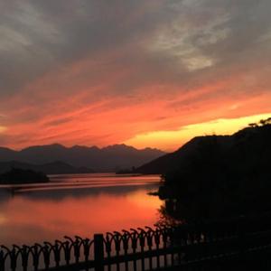 肥老熟妇伦子伦456图片
